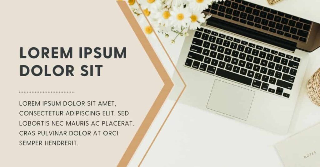 Lorem Ipsum Generator For Freelance Consultant Lipsum Hub