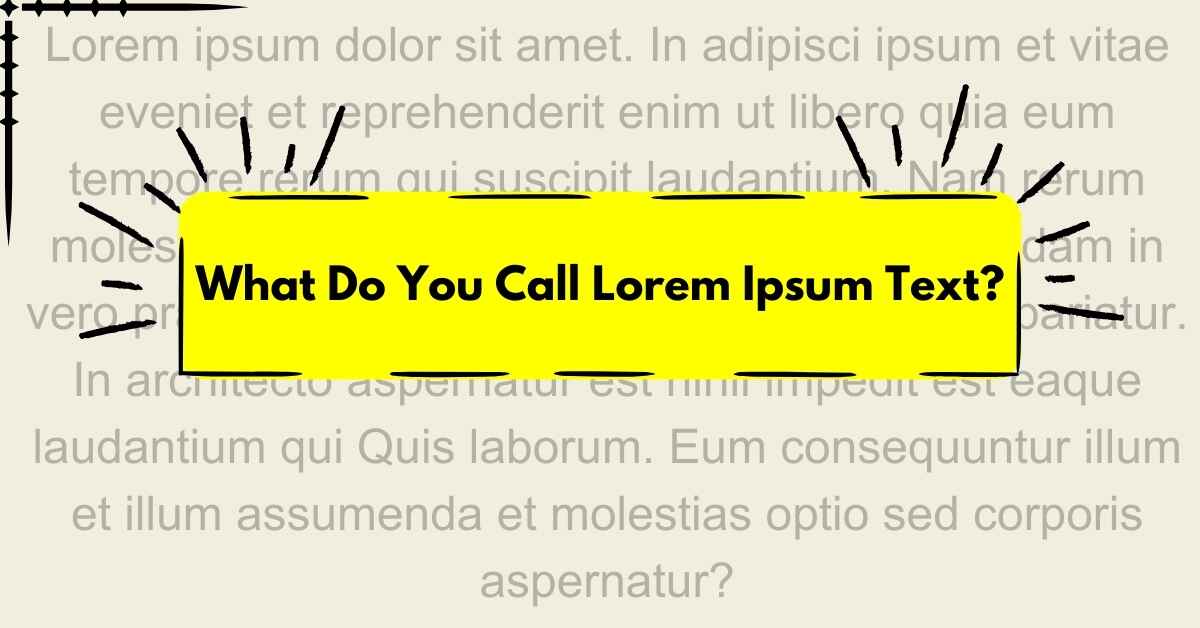 What Do You Call Lorem Ipsum Text?