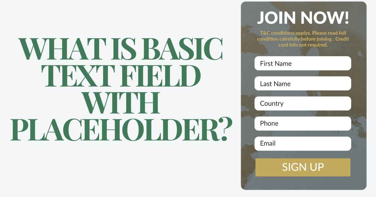 What Is Basic Text Field with Placeholder