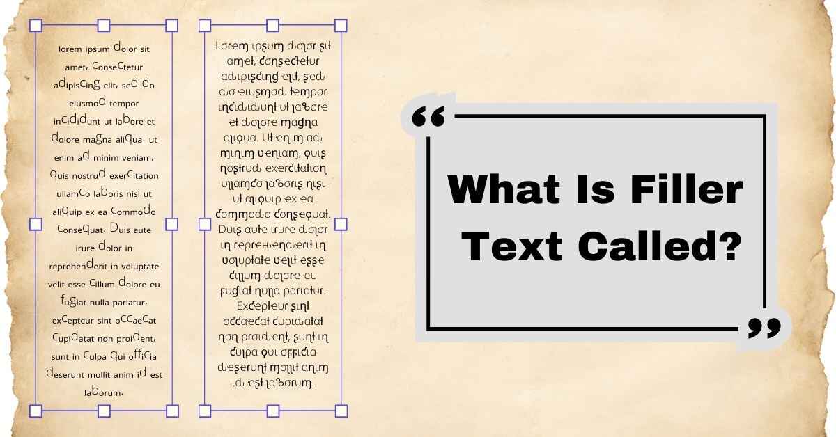 What Is Filler Text Called?