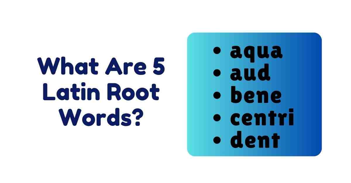 What Are 5 Latin Root Words?