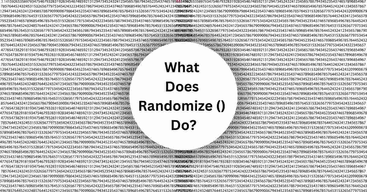 What Does Randomize() Do?