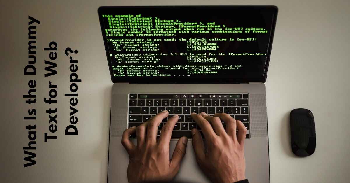 What Is The Dummy Text for Web Developer?
