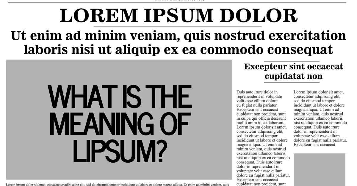 What Is the Meaning of Lipsum?