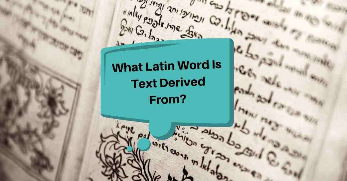 What Latin Word Is Text Derived From?