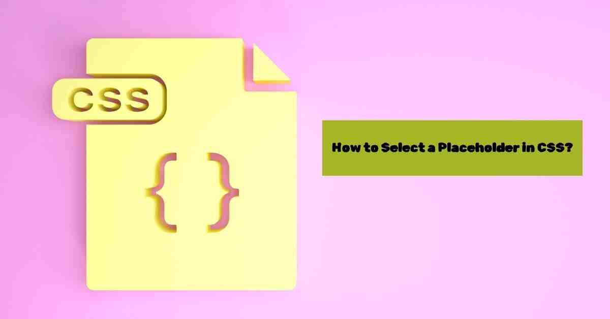 How to Select a Placeholder in Css?