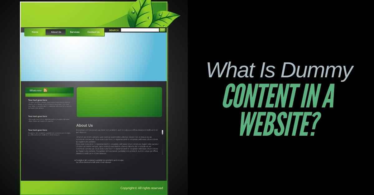 What Is Dummy Content in a Website?