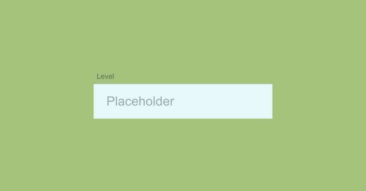 What Is Placeholder Vs Labels?