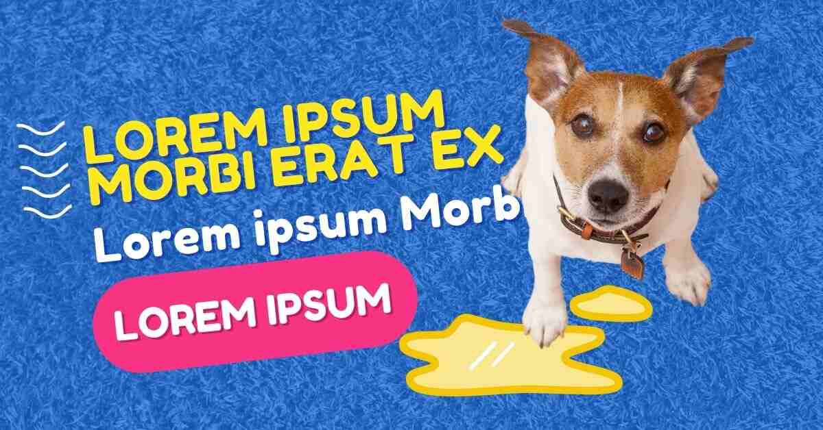 Customizable Meme Lorem Ipsum Generator