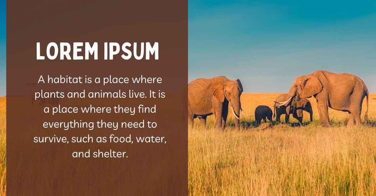 Habitat-Based Animal Lorem Ipsum Generator