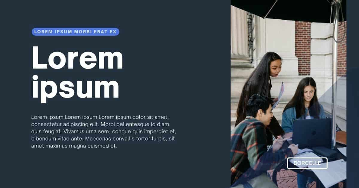 Lorem Ipsum Generator for Campaign Coordinator