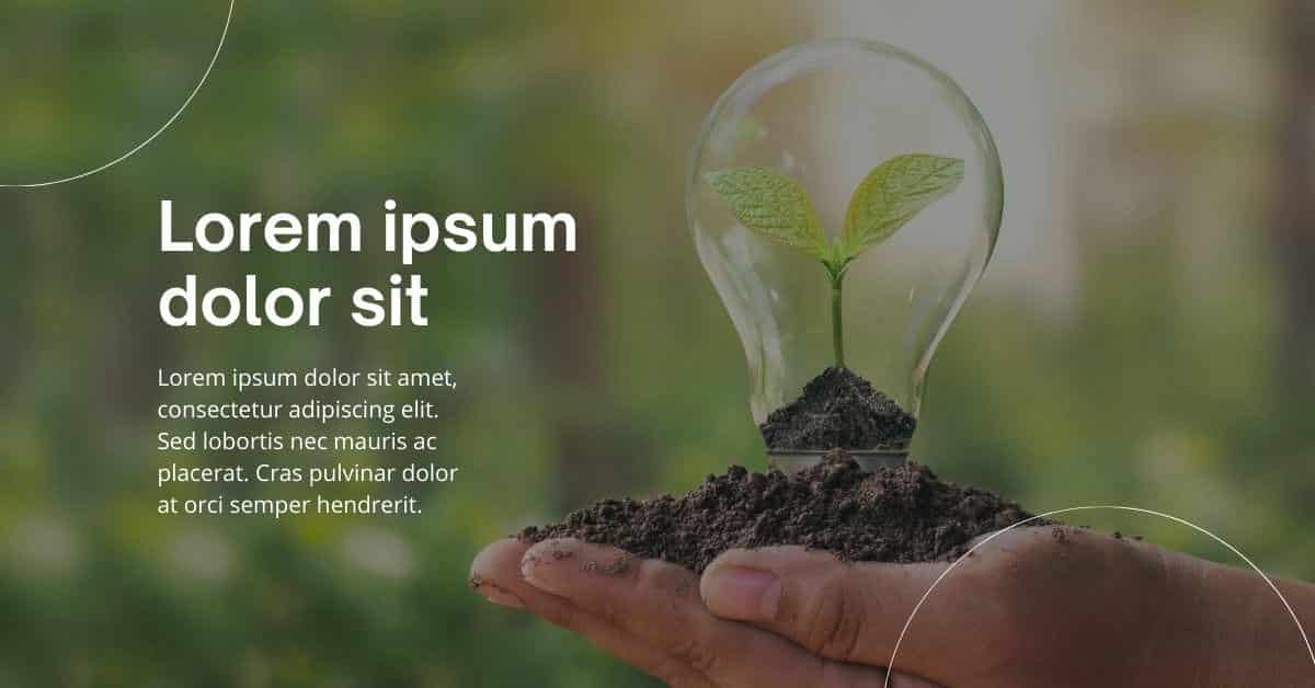 Lorem Ipsum Generator for Environmental Consultant