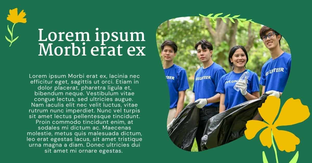 Lorem Ipsum Generator for NGO Professional