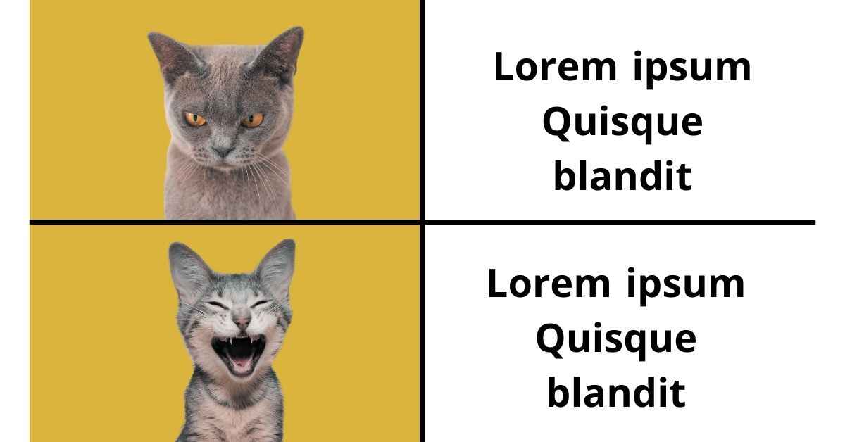 Meme Lorem Ipsum Generator