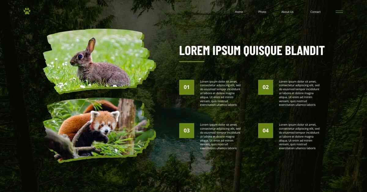 Randomized Animal Sound Lorem Ipsum Generator