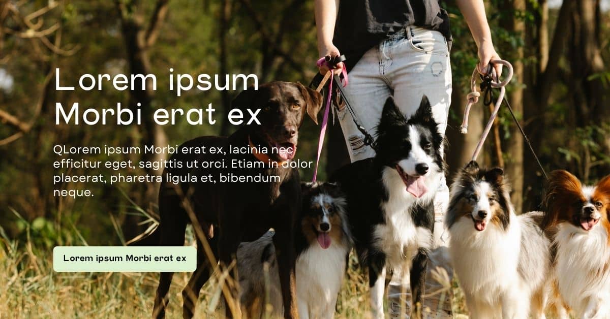 Lorem Ipsum Generator for Non-Profit Organization Pages