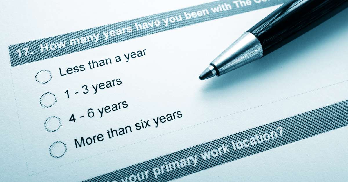 Lorem Ipsum Generator for Client Opinion Surveys