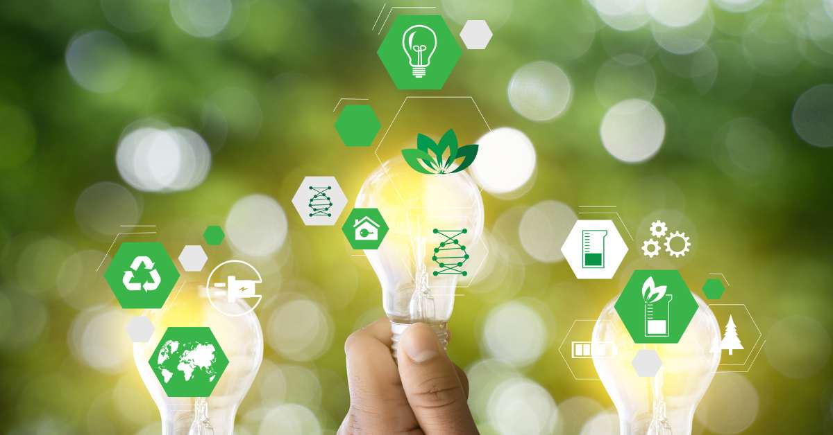 Lorem Ipsum Generator for Sustainable Sourcing Reports