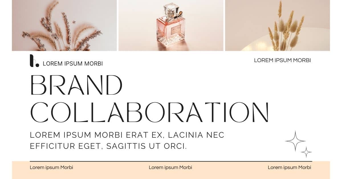 Lorem Ipsum Generator for Brand Collaboration Pages