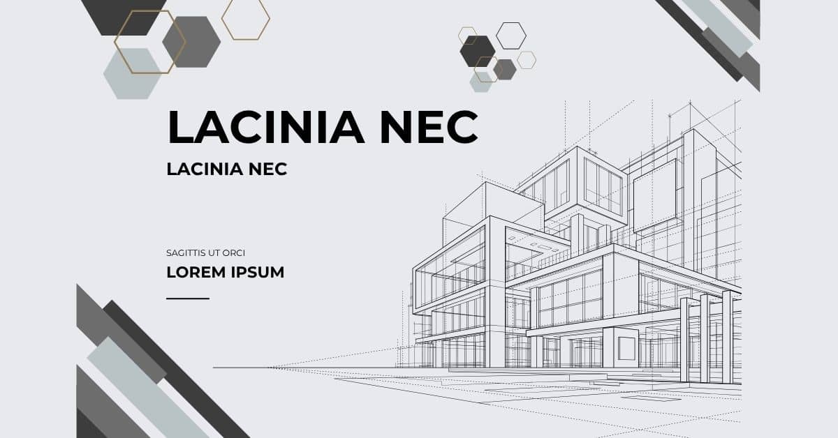 Lorem Ipsum Generator for Portfolio Page Designs