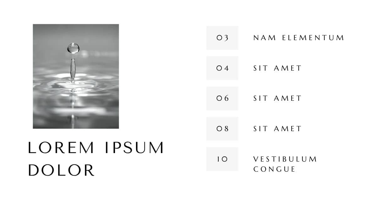 Lorem Ipsum Generator for Portfolio Slideshow Mockups
