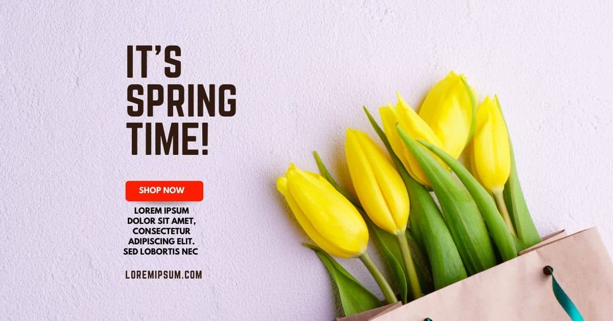 Lorem Ipsum Generator for Seasonal Promotion Pages